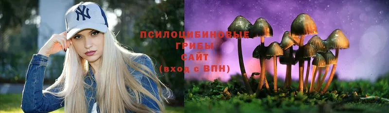 Галлюциногенные грибы Magic Shrooms  гидра маркетплейс  Карабулак 